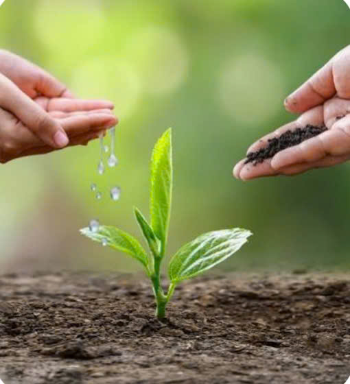 Những điểm mới nổi bật của Luật sửa đổi, bổ sung một số điều của 15 Luật  trong lĩnh vực nông nghiệp và môi trường